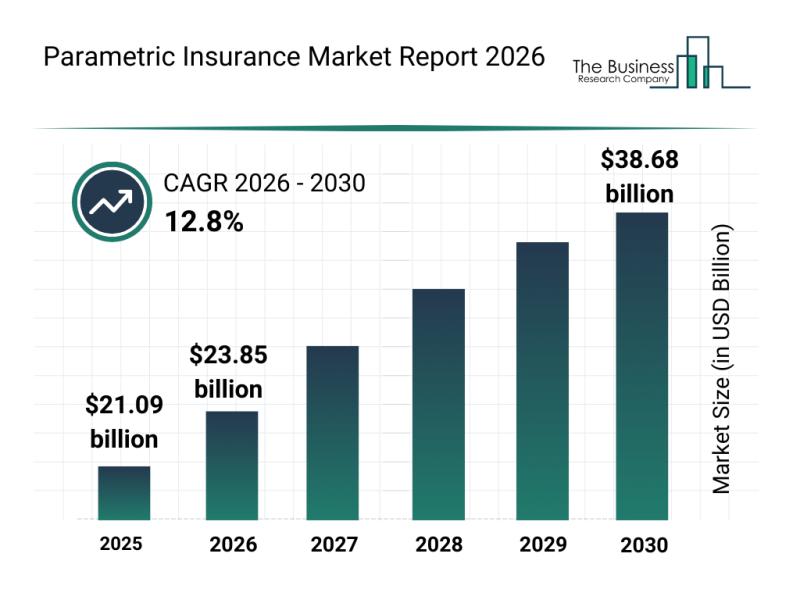 Parametric Insurance Analysis