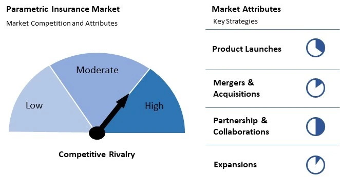 Parametric Insurance Strategy